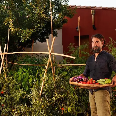 Casa Mediterranea Bed & Breakfast Nurachi